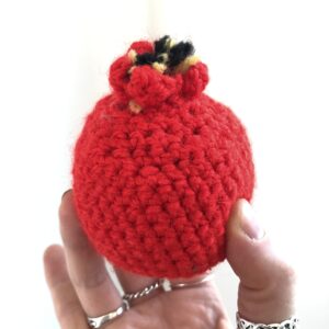 Knitted Fruit